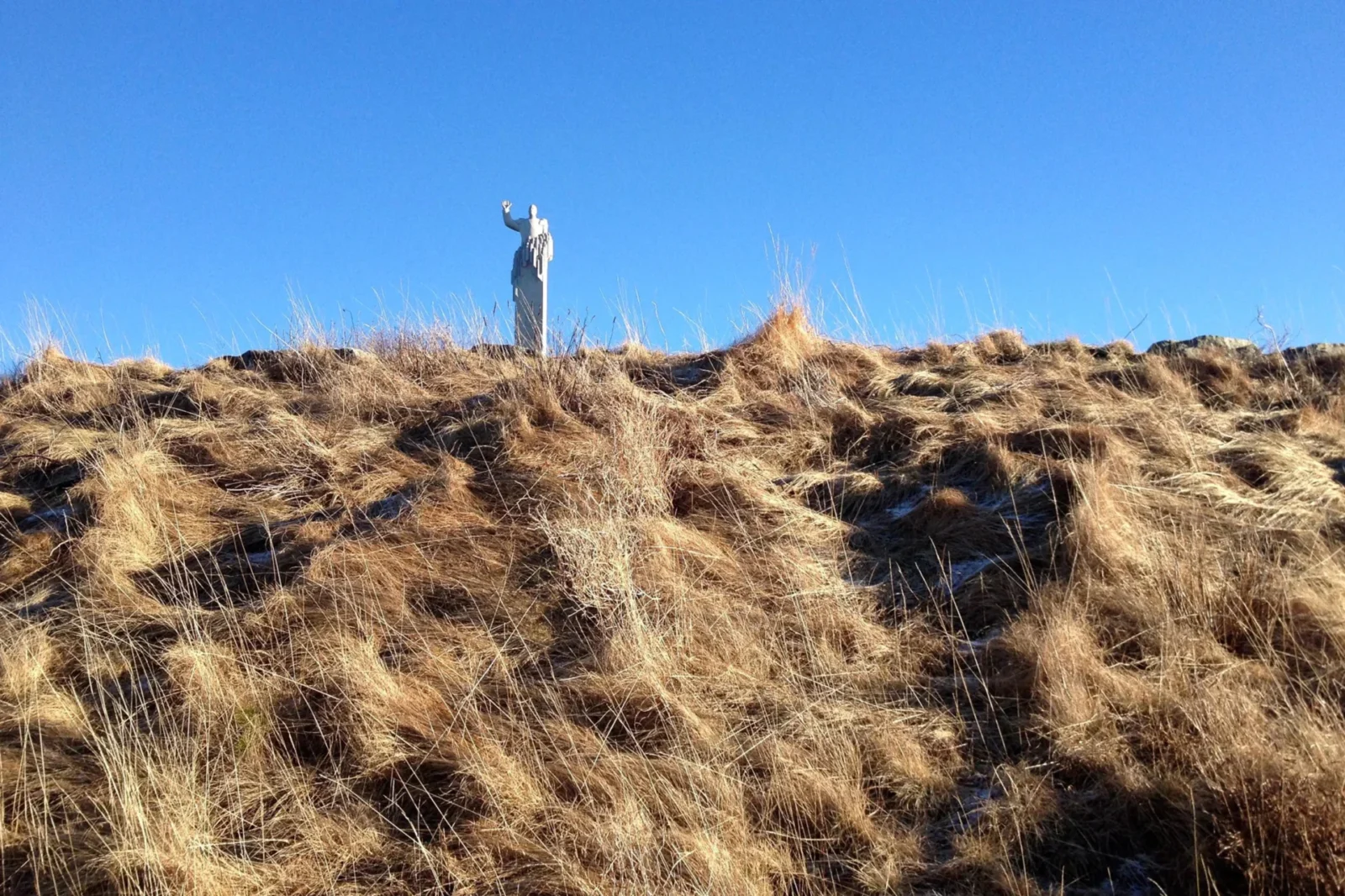 kongen Skulptur i gress og blå himmel