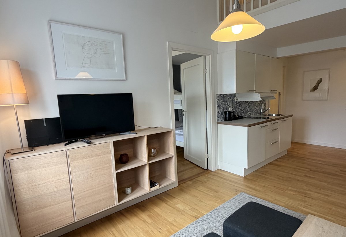 Moderne stue med kjøkkenkrok